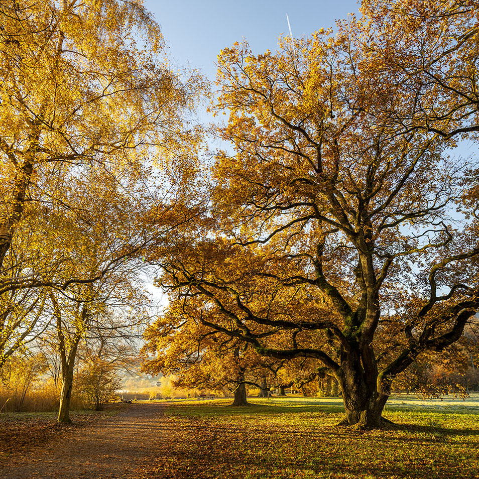 Supervision – Ich begleite Sie auf Ihrem beruflichen Weg
